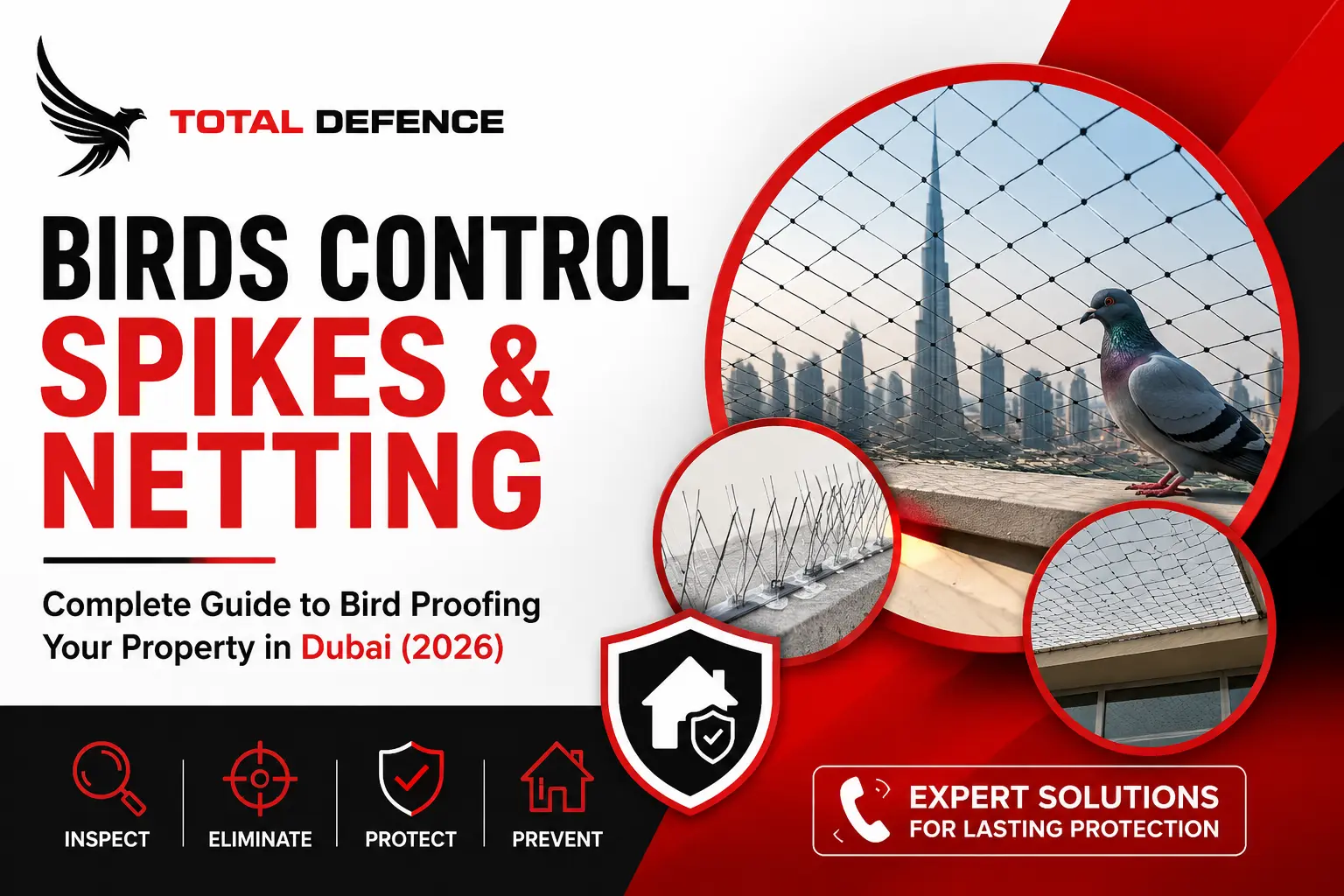 Bird control spikes and netting installation Dubai by Total Defence for effective bird proofing solutions