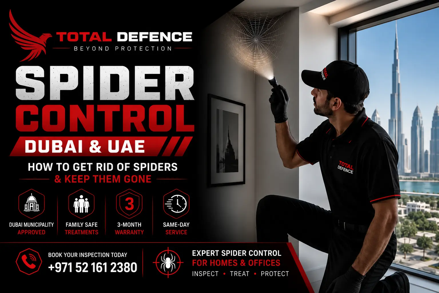 spider pest control