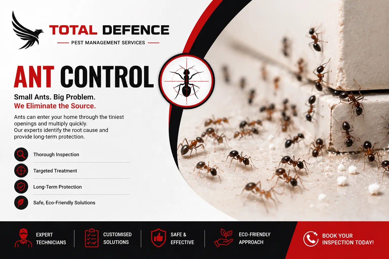 Ant Control Dubai – Professional ant inspection, treatment, and long-term pest prevention by Total Defence