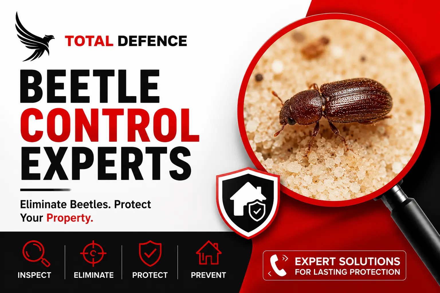 Professional beetle control and removal service in Dubai by Total Defence to eliminate beetle infestations in homes and businesses