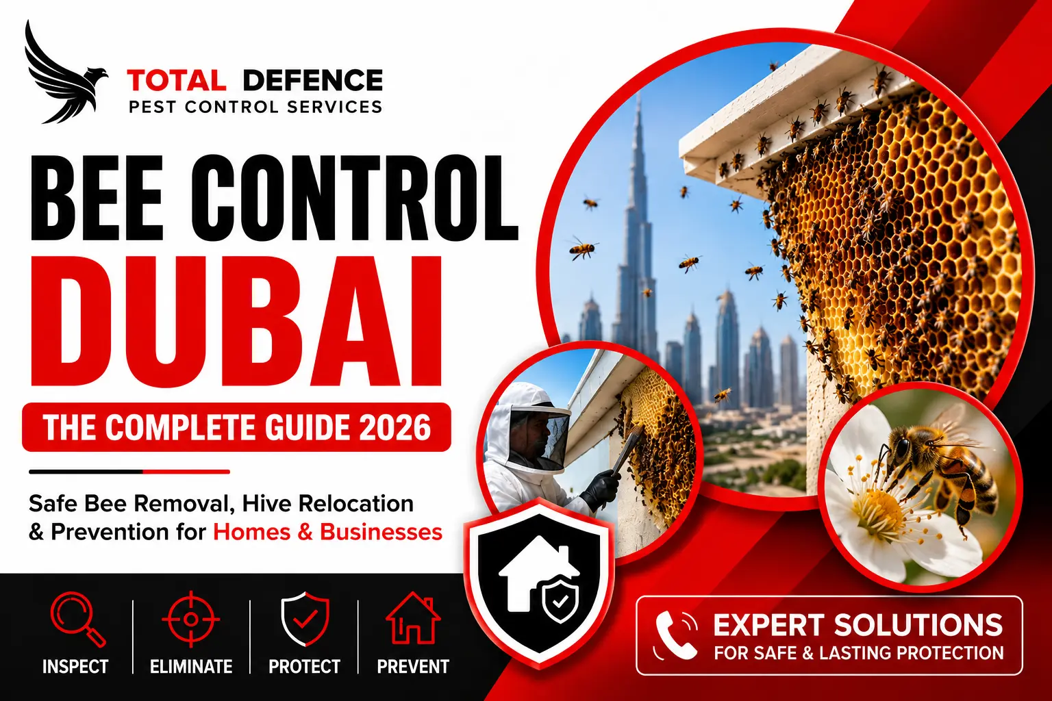 Professional Bee Control Dubai service showing safe bee hive removal, honeycomb inspection, and bee relocation by Total Defence.