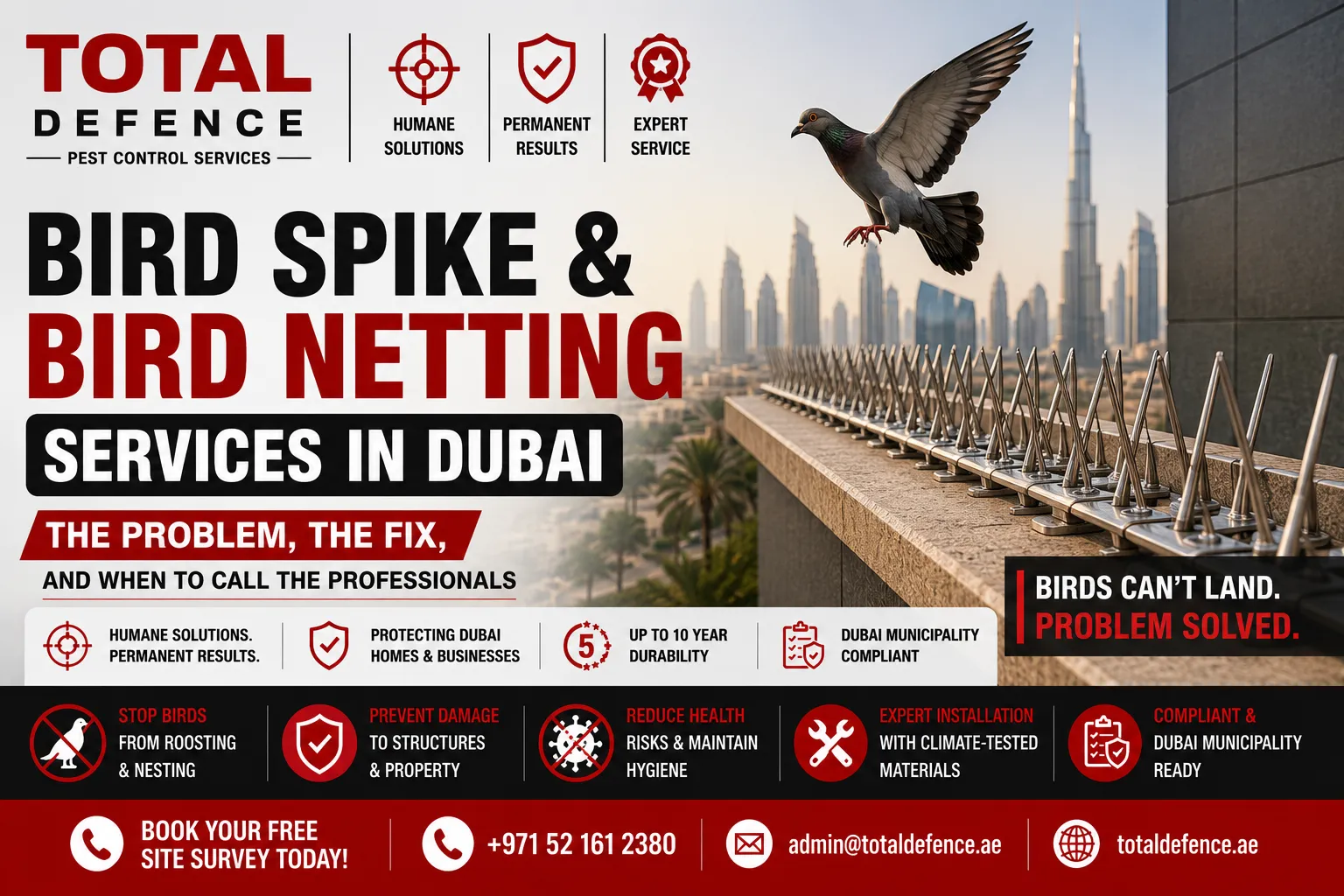 bird spike & netting