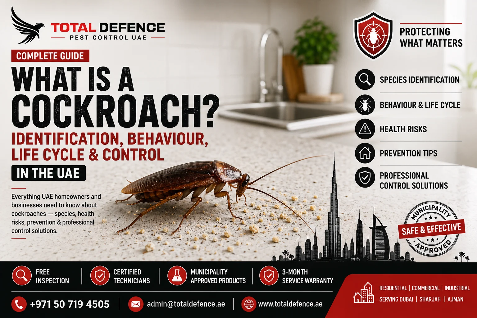 what is coackroach