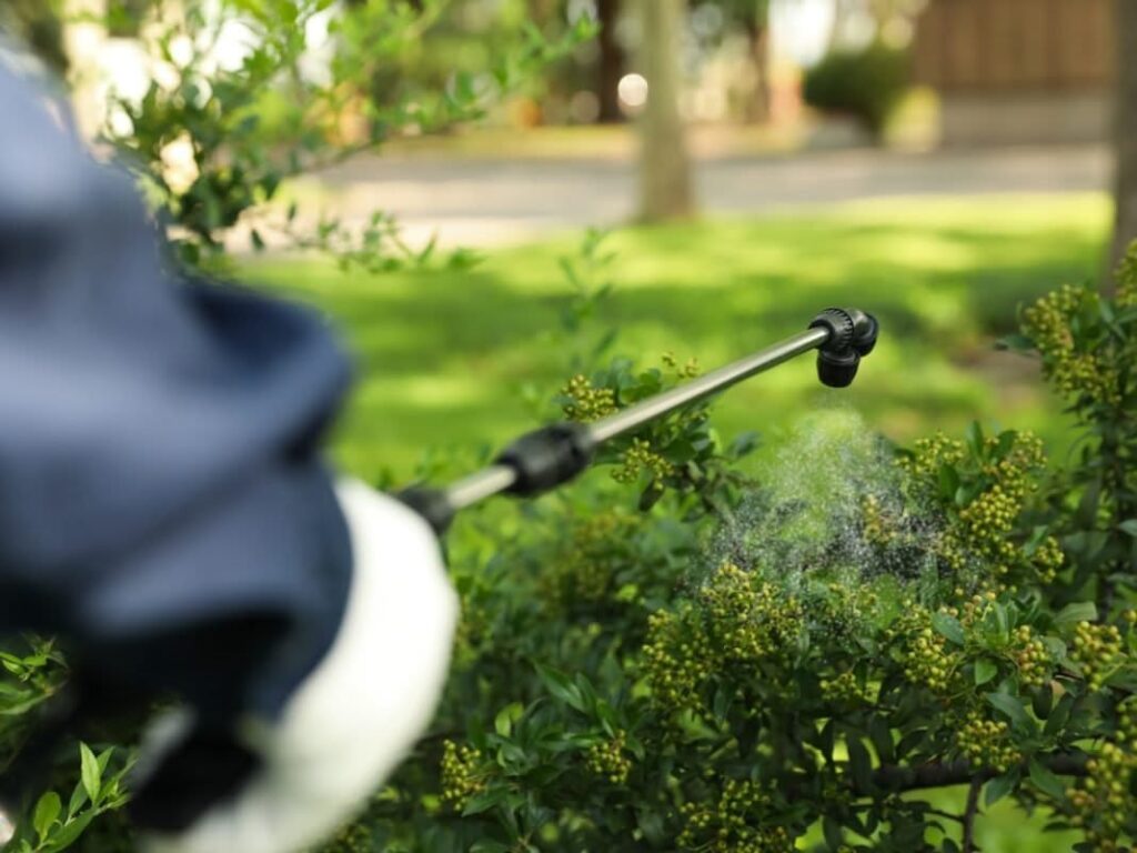 villa pest control