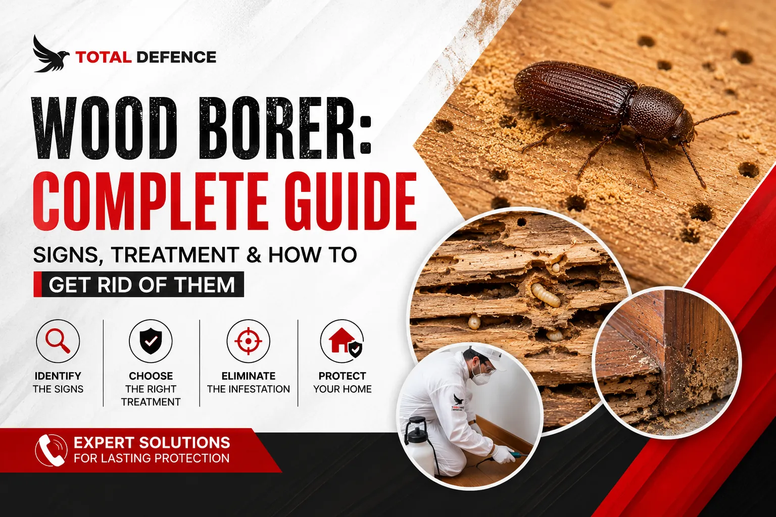 Professional Total Defence pest control technician in a white protective uniform applying wood borer treatment to timber flooring using a precision sprayer.
